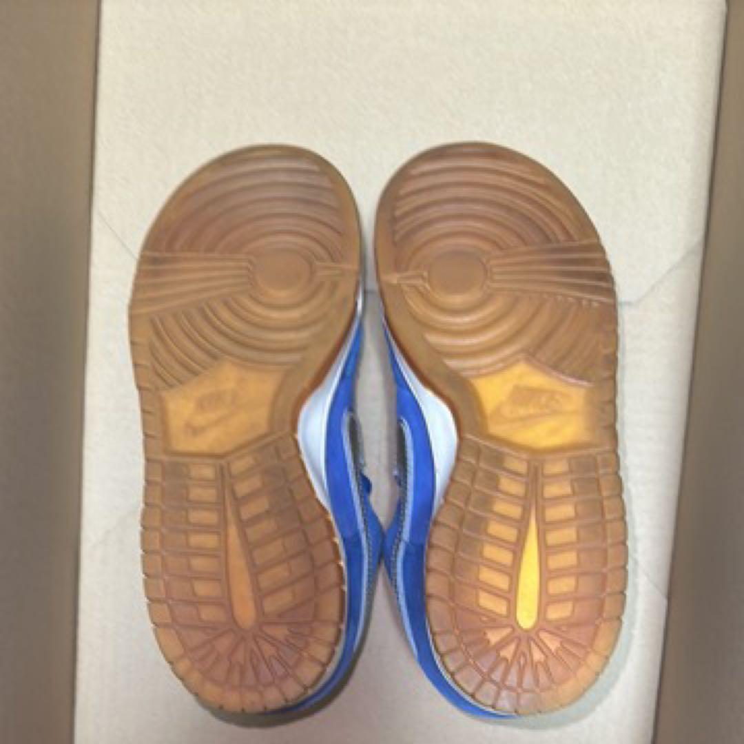 NIKESB エリックコストン28.0センチ