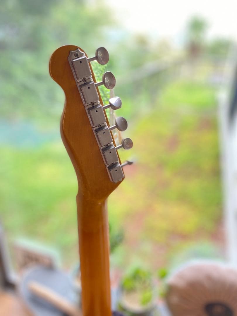 ハードレリック 60sテレキャスタータイプC.A.R/アルニコV ピックアップス