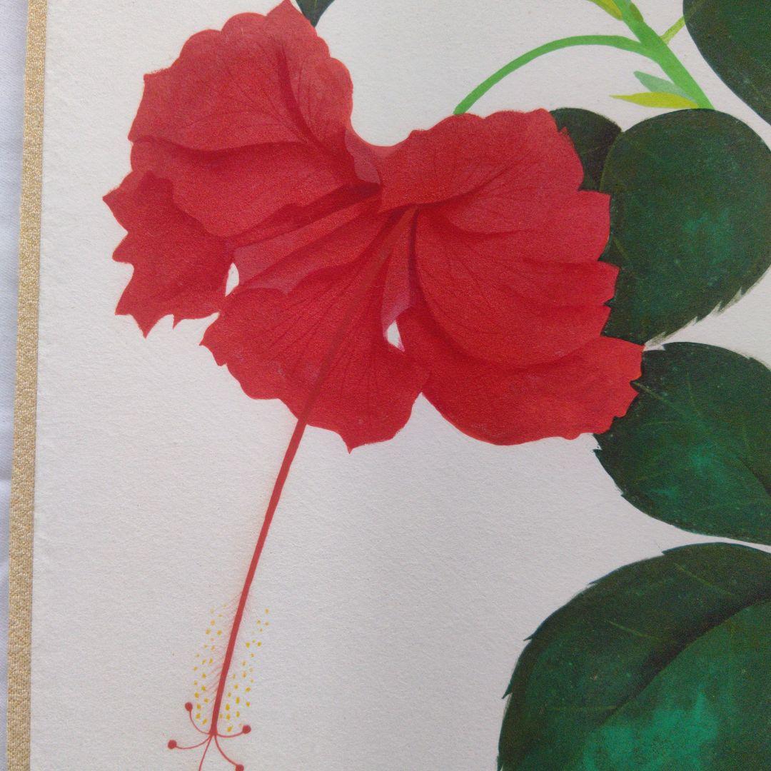 ハイビスカス  院展 清水達三先生  真作です  日本画