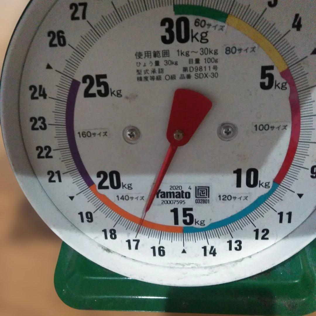 ポケモンカードセット 10000枚