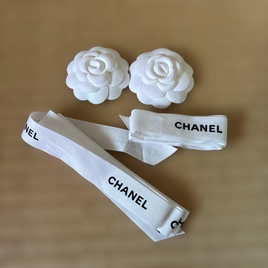CHANEL 保存袋　巾着袋　シャネル　ショッパー　空箱　付属品　セット