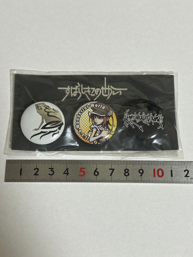 すばらしきこのせかい 缶バッジ　希少
