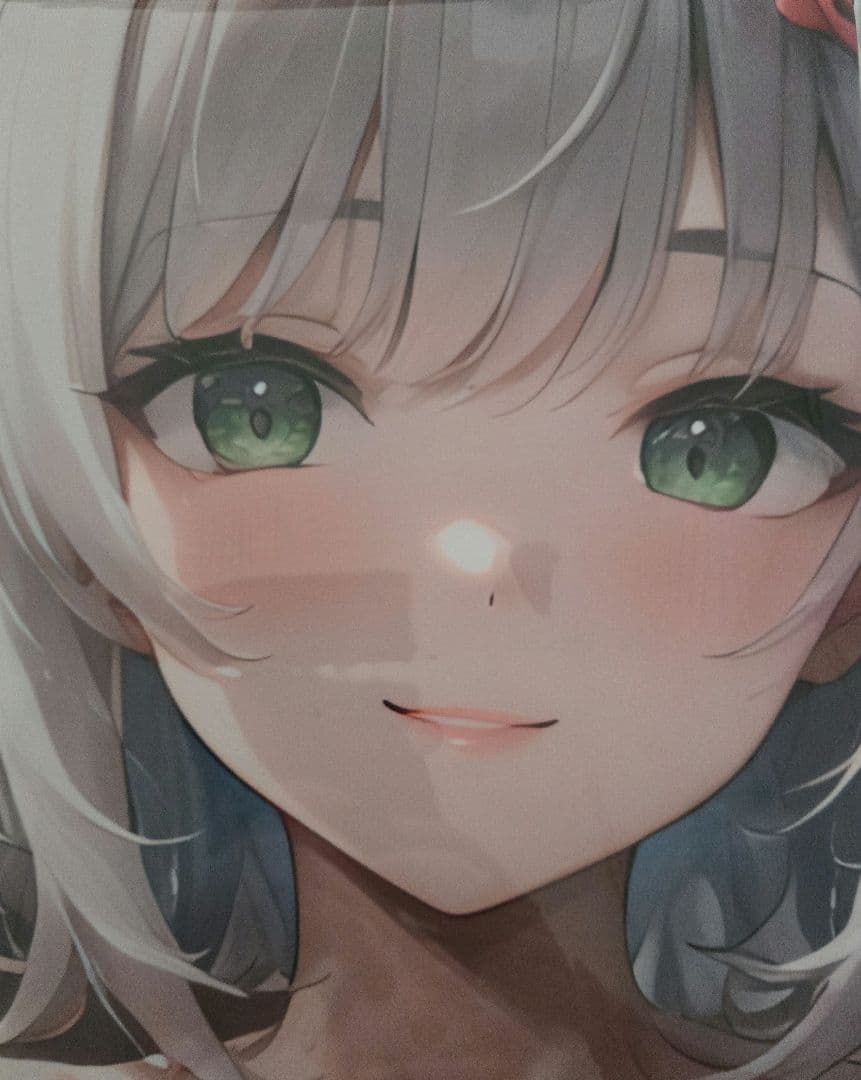 タオル/タペストリー/抱き枕カバー整理品超特別仕様5種セット②