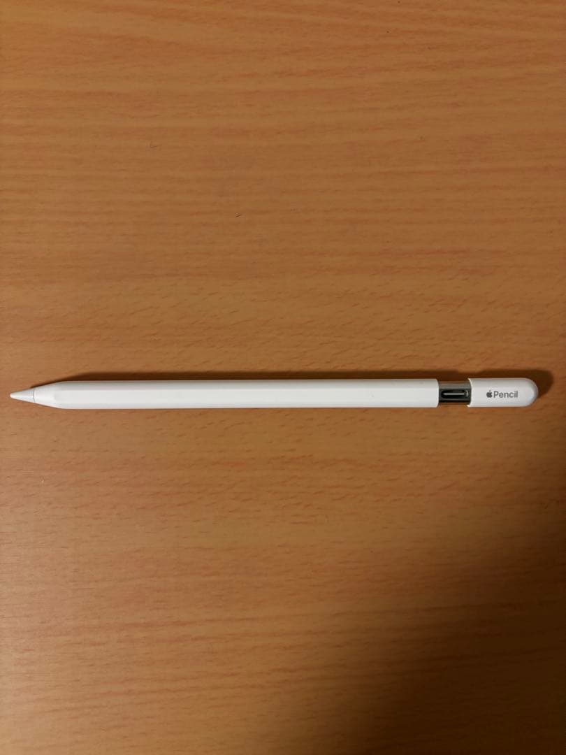 Apple Pencil アップルペンシル USB-C 純正