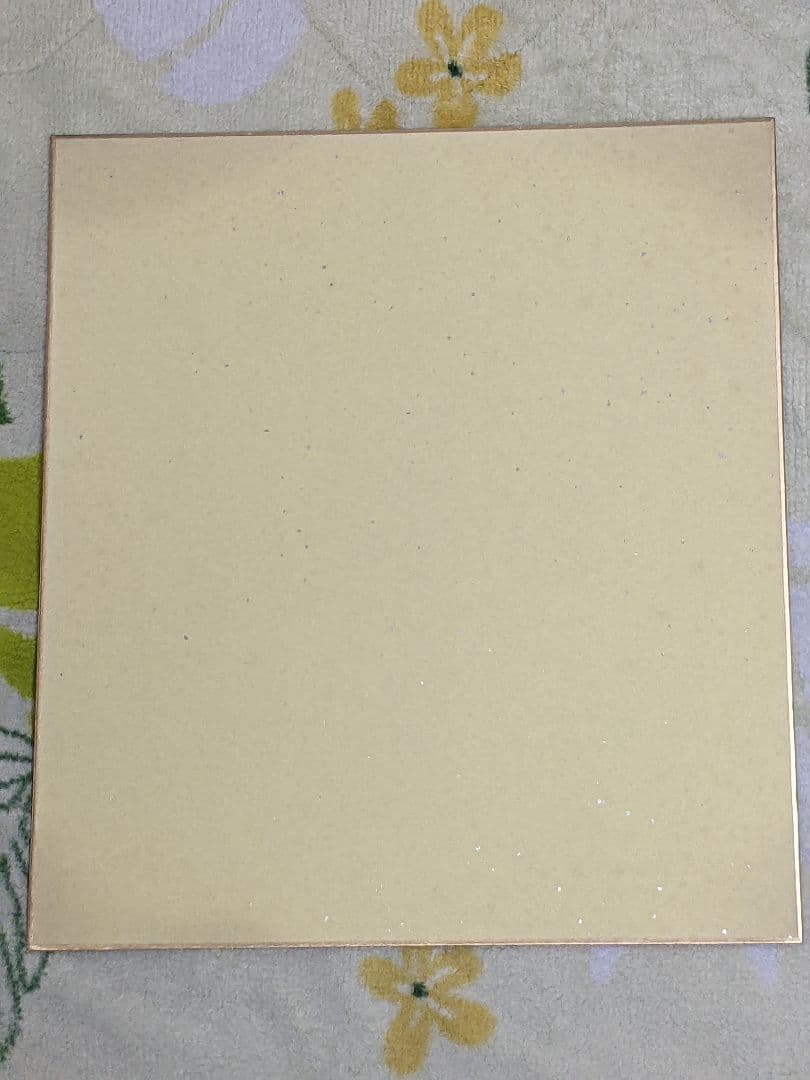 H*A様 長嶋茂雄 直筆色紙「 野球というスポーツは人生そのものだ！ 」