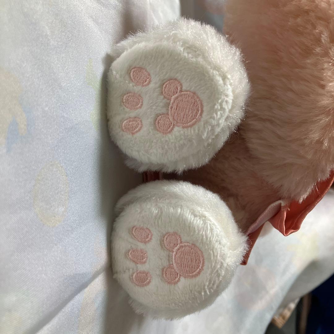 バケーションパッケージ(バケパ)限定 ポージープラッシー リーナベル