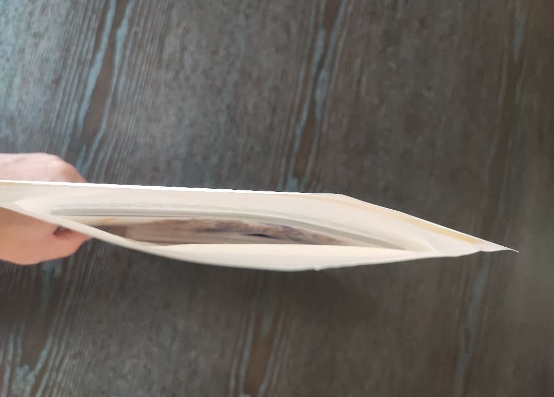 新品/未開封/未使用品 グラブルフェス2025 パンフレット アートブック