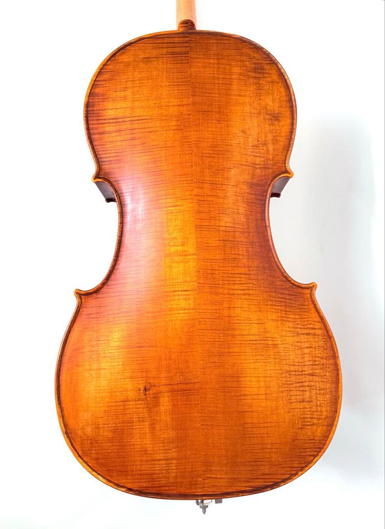弦楽器 Gliga Strumenti musicali eseguiti 4/4