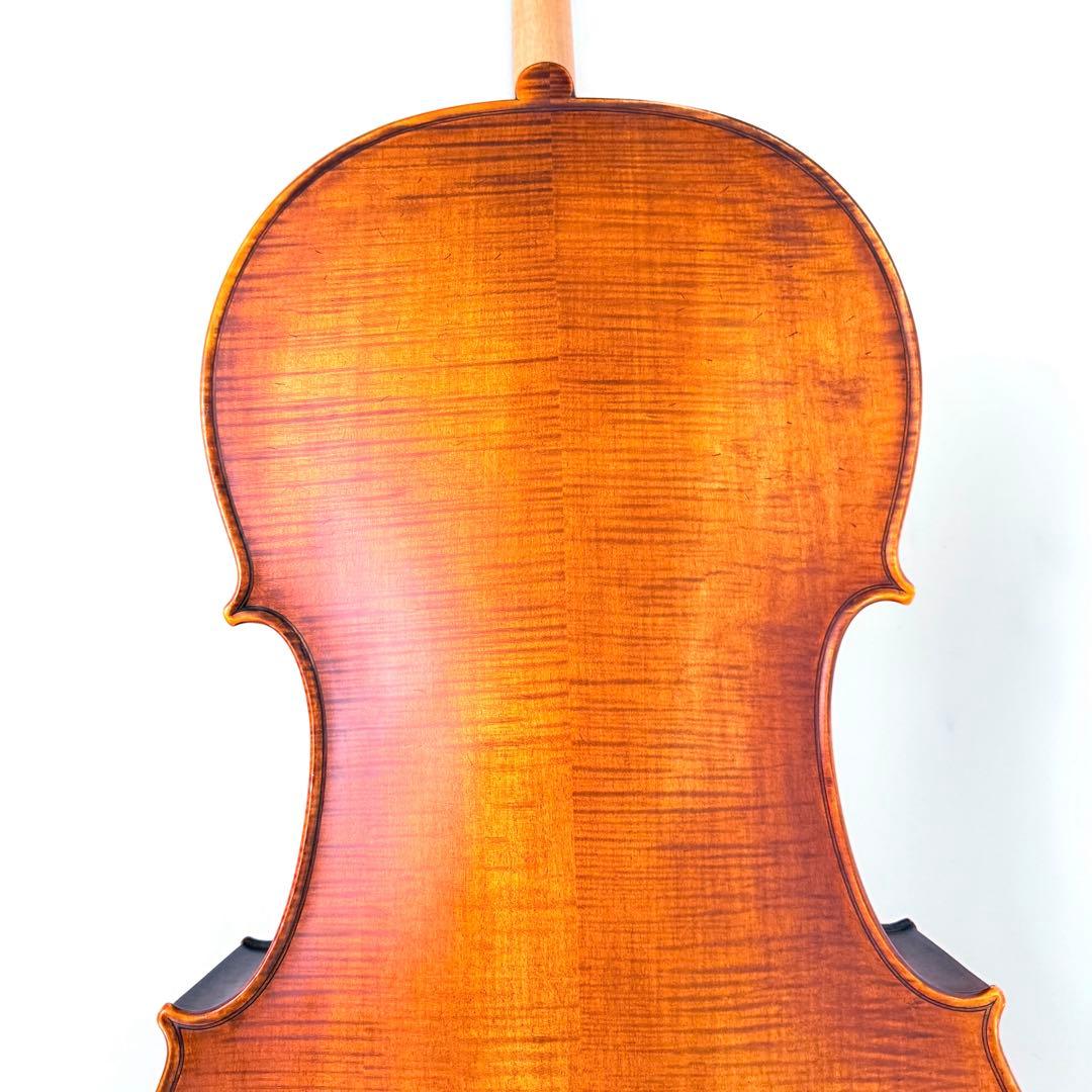 弦楽器 Gliga Strumenti musicali eseguiti 4/4