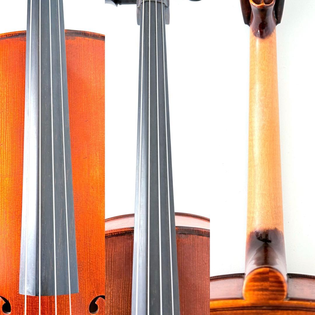 弦楽器 Gliga Strumenti musicali eseguiti 4/4