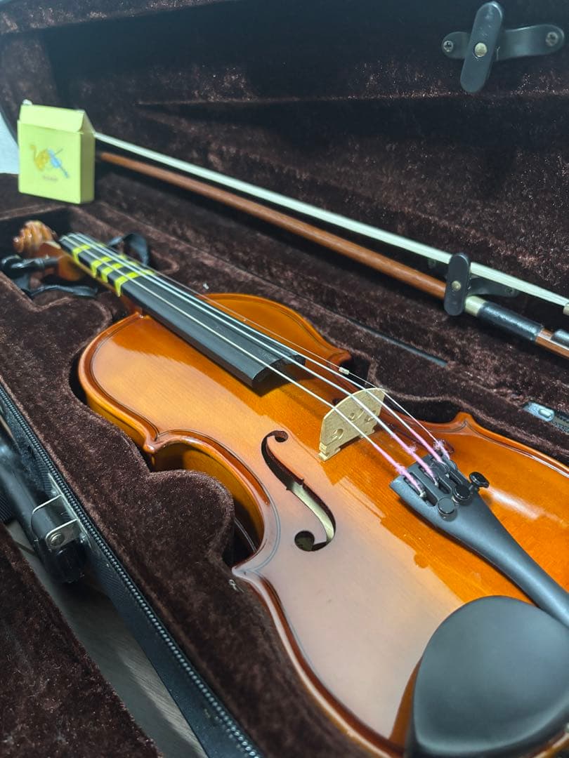 極美品✨ カルロジョダーノ VS-1 1/8 2015 分数バイオリン 弦楽器