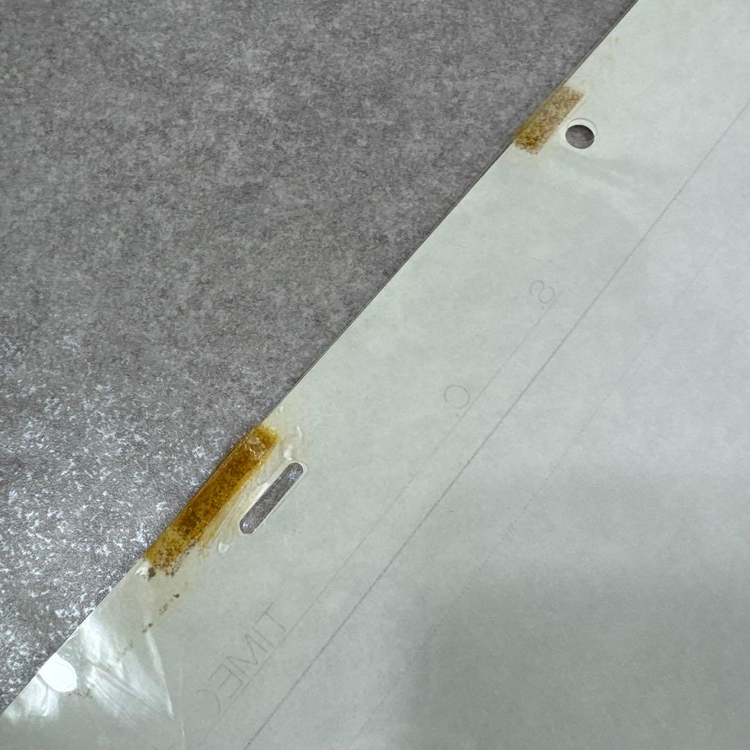 希少 おもひでぽろぽろ カットシーン セル画 D21 スタジオジブリ