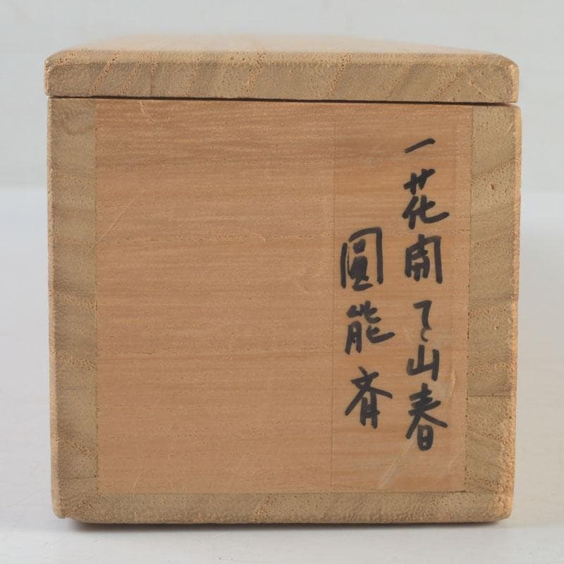 掛軸　裏千家　十三代　圓能斎筆　一行書　「一花開天山春」　共箱　C　9757A