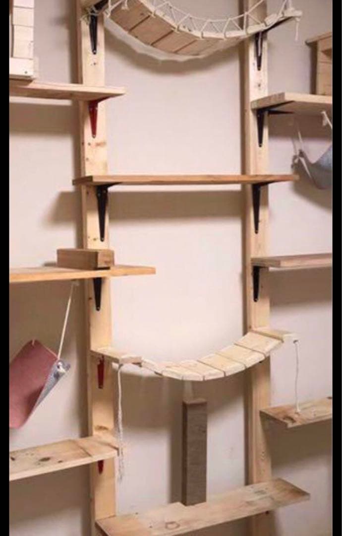 猫ちゃん壁付けキャットウォークセット