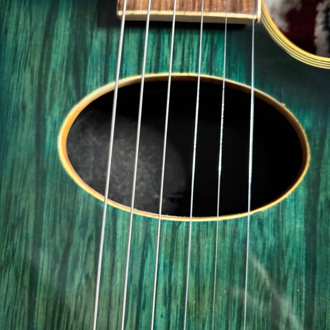 激レア　Strainer JS Series グリーン　ソリッドエレアコ