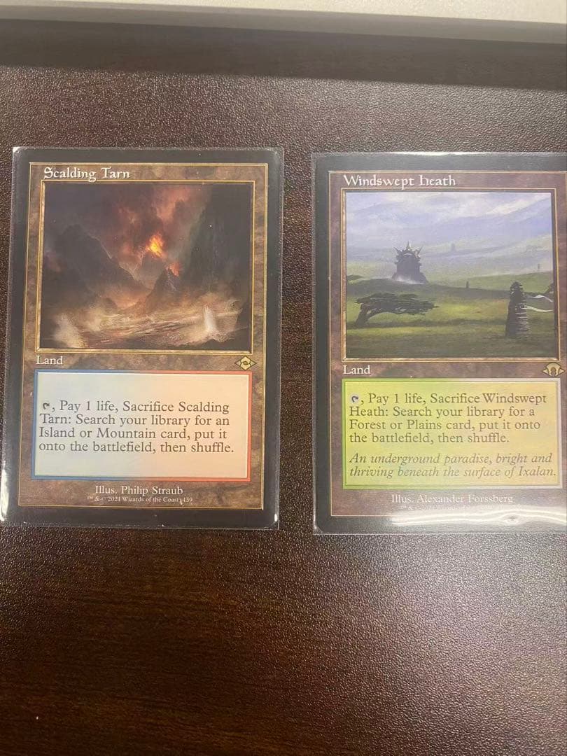 mtg 沸騰する小湖　吹きさらしの荒野　セット