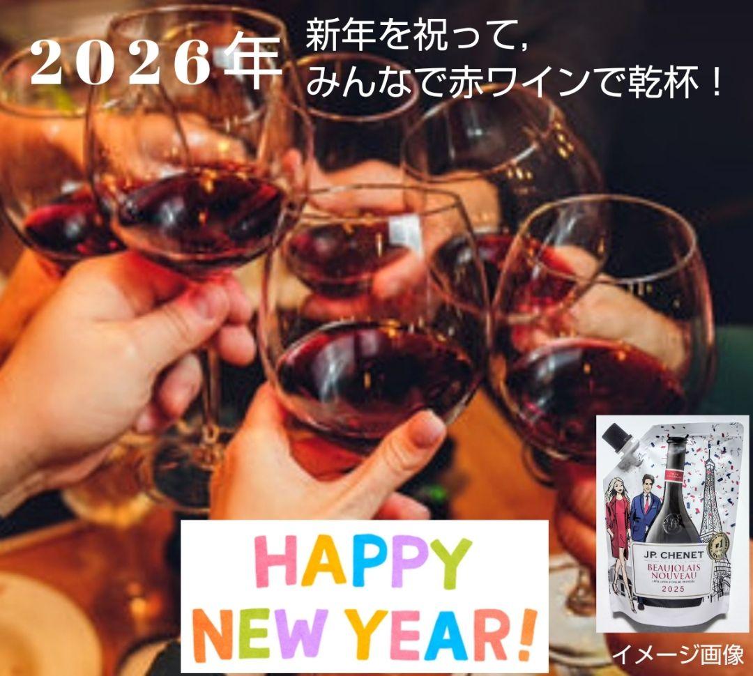 お正月用 限定赤ワイン(2025年 ボジョレーヌーボーイージーパック)20個格安