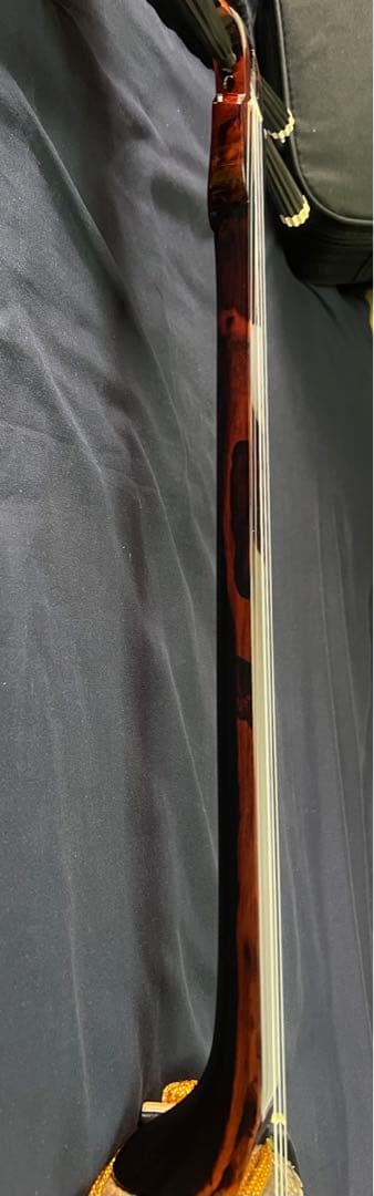 三線 八重山黒木 ウジラミ