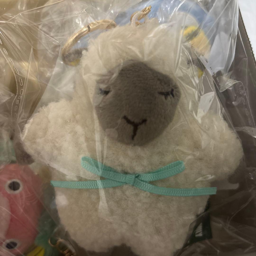 アフタヌーンティーリビング　SPY×FAMILY