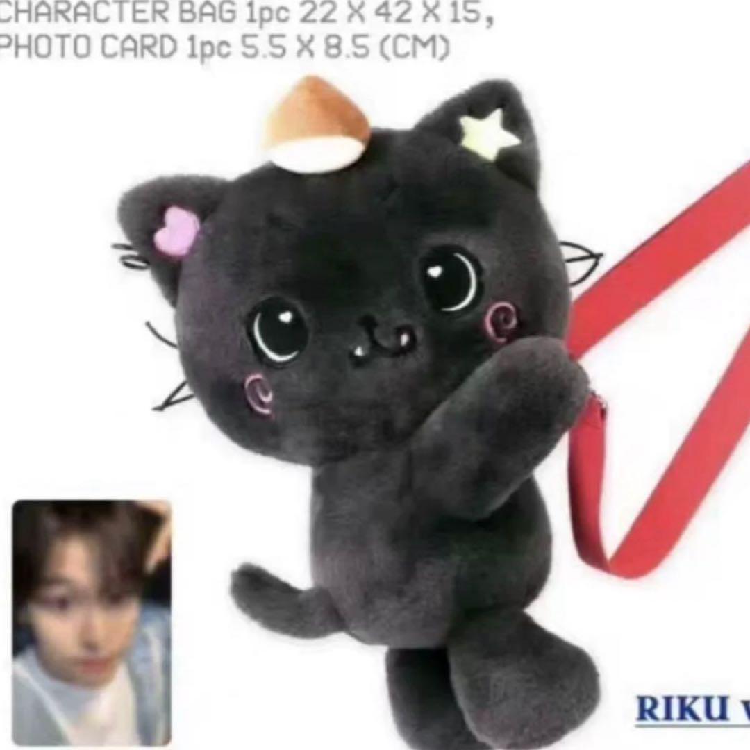 NCT WISH ソウルコン　バッグ　トレカ付き　リク