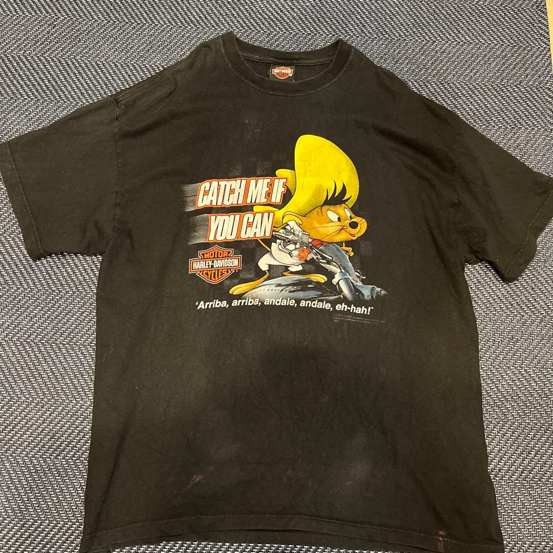 ハーレーダビットソン　ビンテージ　tシャツ グレードランド　ルーニーテューンズ