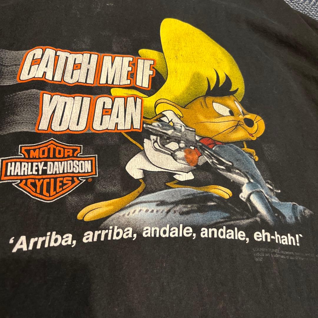 ハーレーダビットソン　ビンテージ　tシャツ グレードランド　ルーニーテューンズ