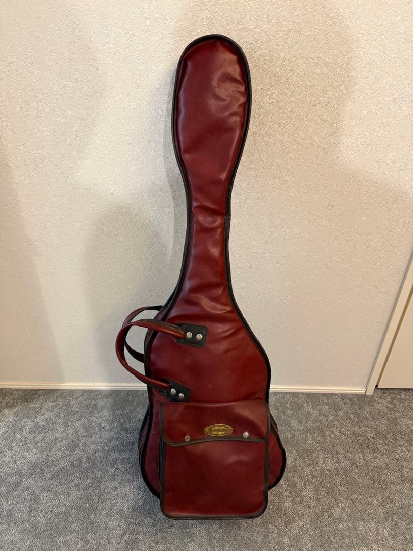 Aria Pro II RS Wildcat エレキギター