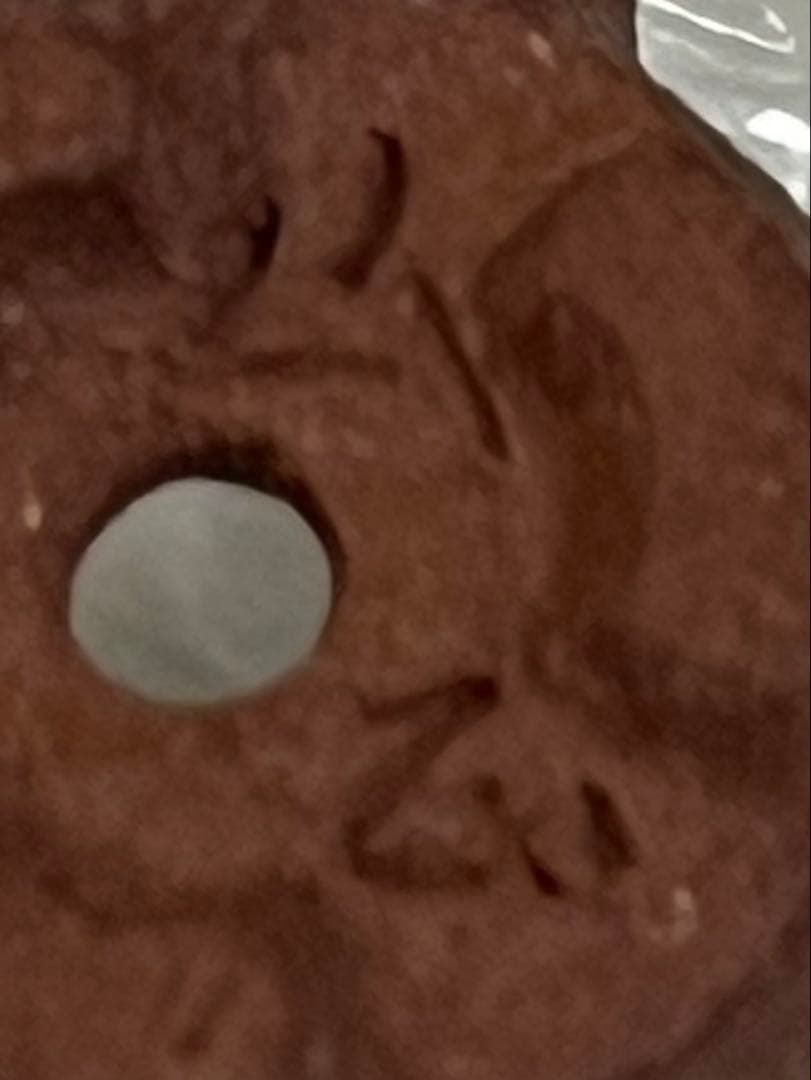 盆栽鉢　植木鉢　陶芸　園芸　盆栽