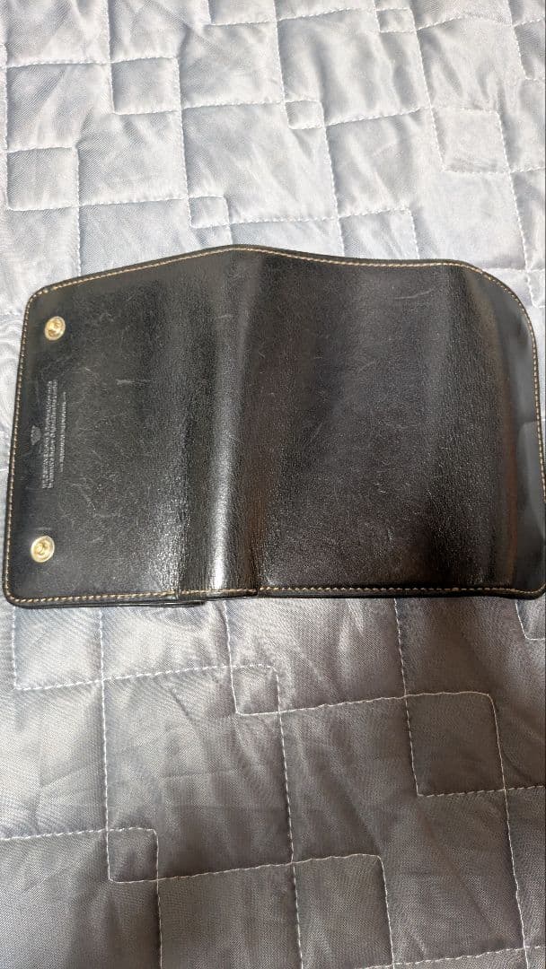 ワイルドスワンズ　バーン