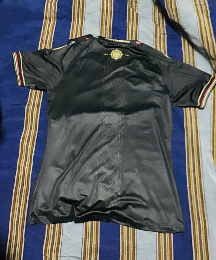 本物 Authentic NOCHE UFC VENUM ジャージーLサイズ