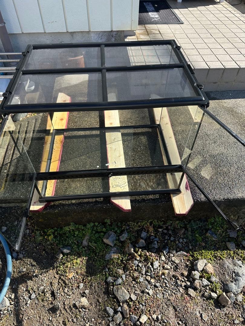 桃愛GEX グラステラリウム　6045