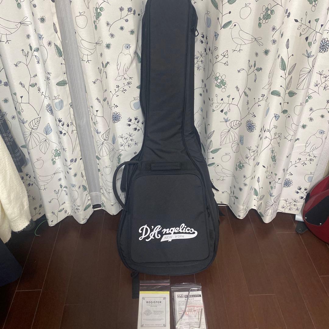 D'Angelico premier Bedford 新同