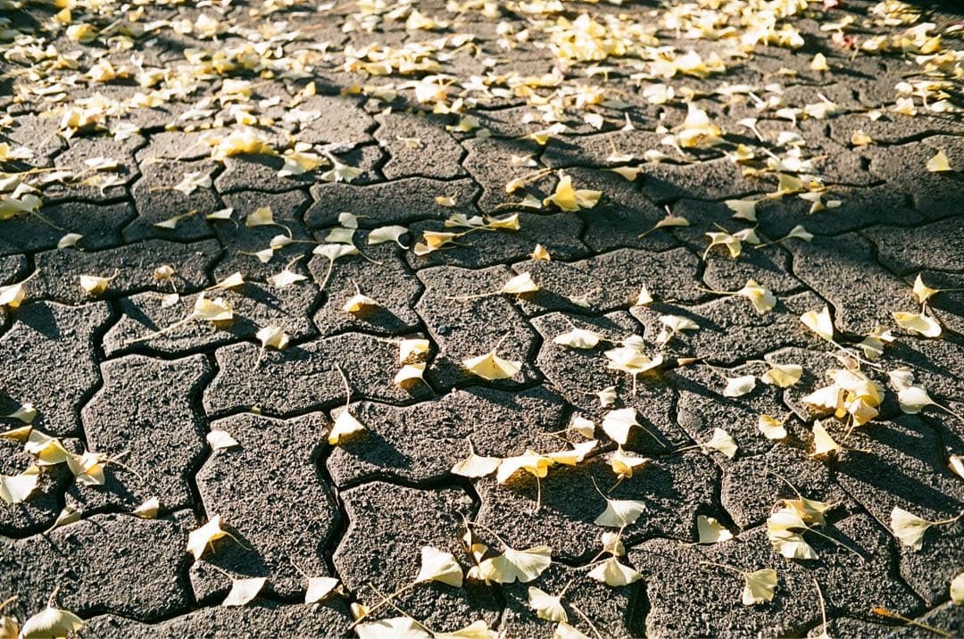 【動作品】 RICOH FF-1s フィルムカメラ