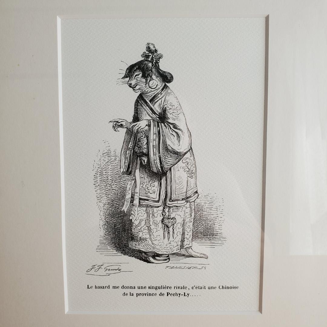 J.J. Grandville 動物たちの私生活・公生活の情景 額装 中国 猫