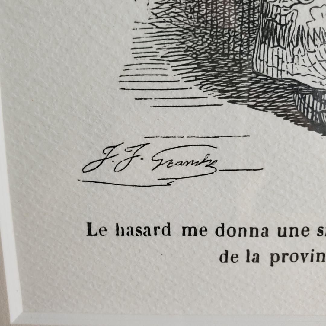 J.J. Grandville 動物たちの私生活・公生活の情景 額装 中国 猫