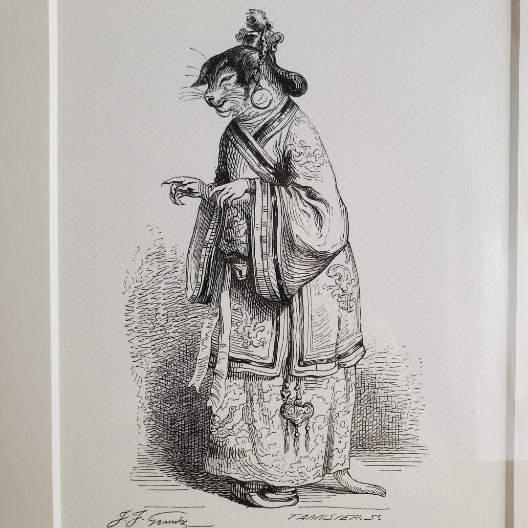 J.J. Grandville 動物たちの私生活・公生活の情景 額装 中国 猫