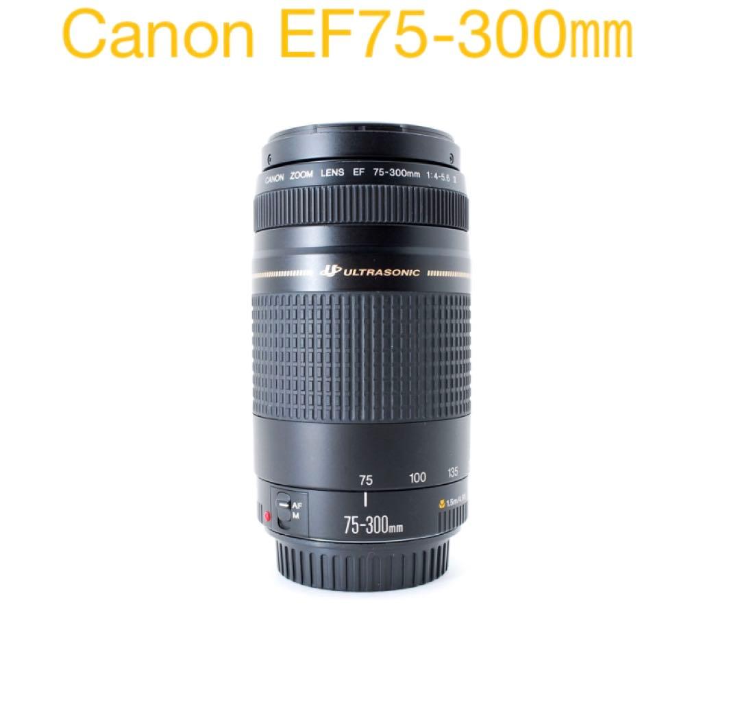 望遠レンズ☆一眼レフ☆Canon EF 75-300mm F4-5.6 USM