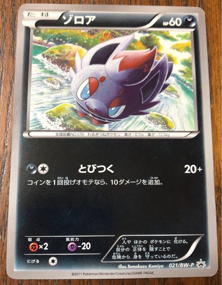 ゾロア　021/BW-P ユニクロプロモ