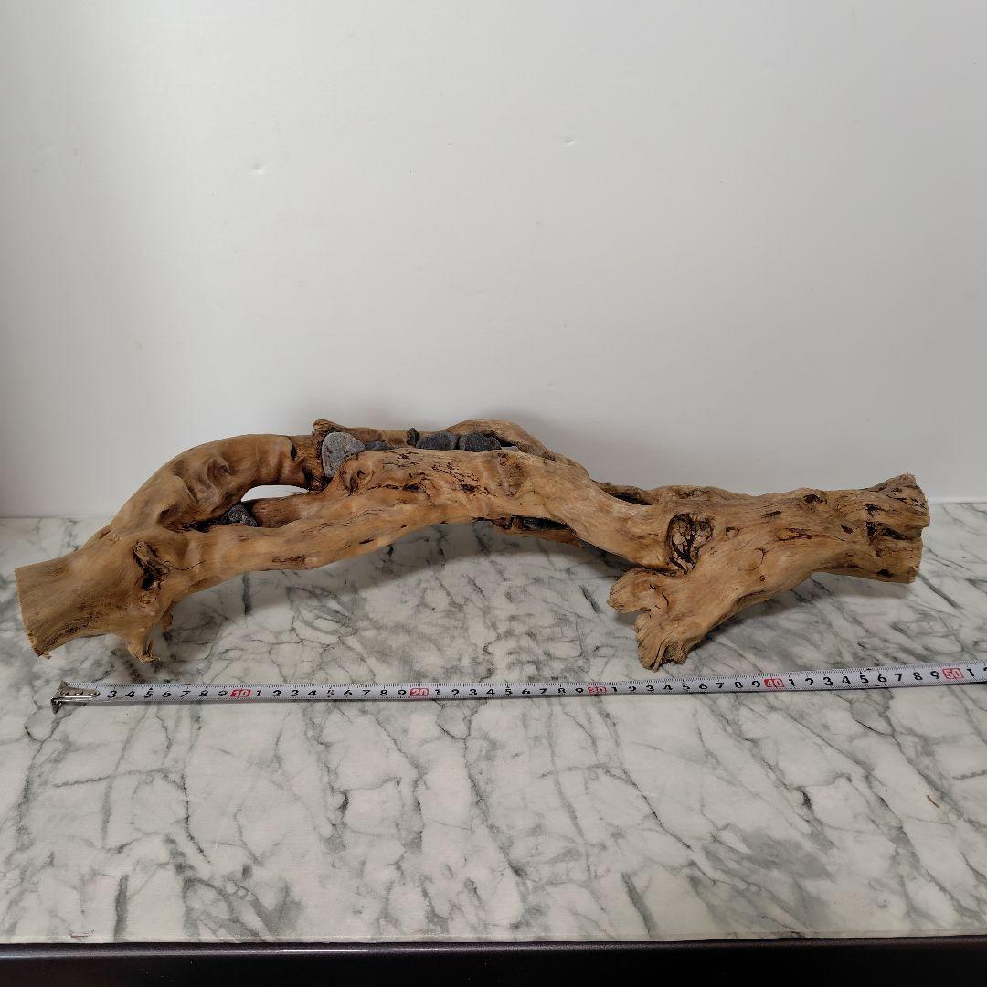 アク抜き済み流木【858】セール