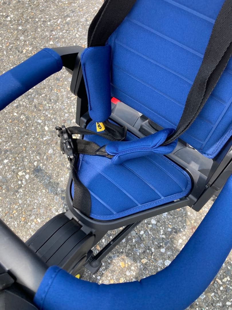 （手渡し歓迎）doona Liki Trike リキトライク　レインカバー付き