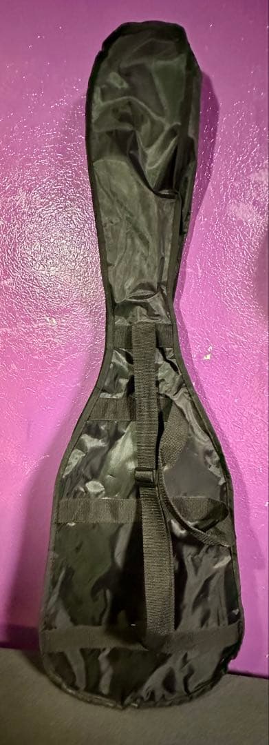 Maestro by Gibson レスポール