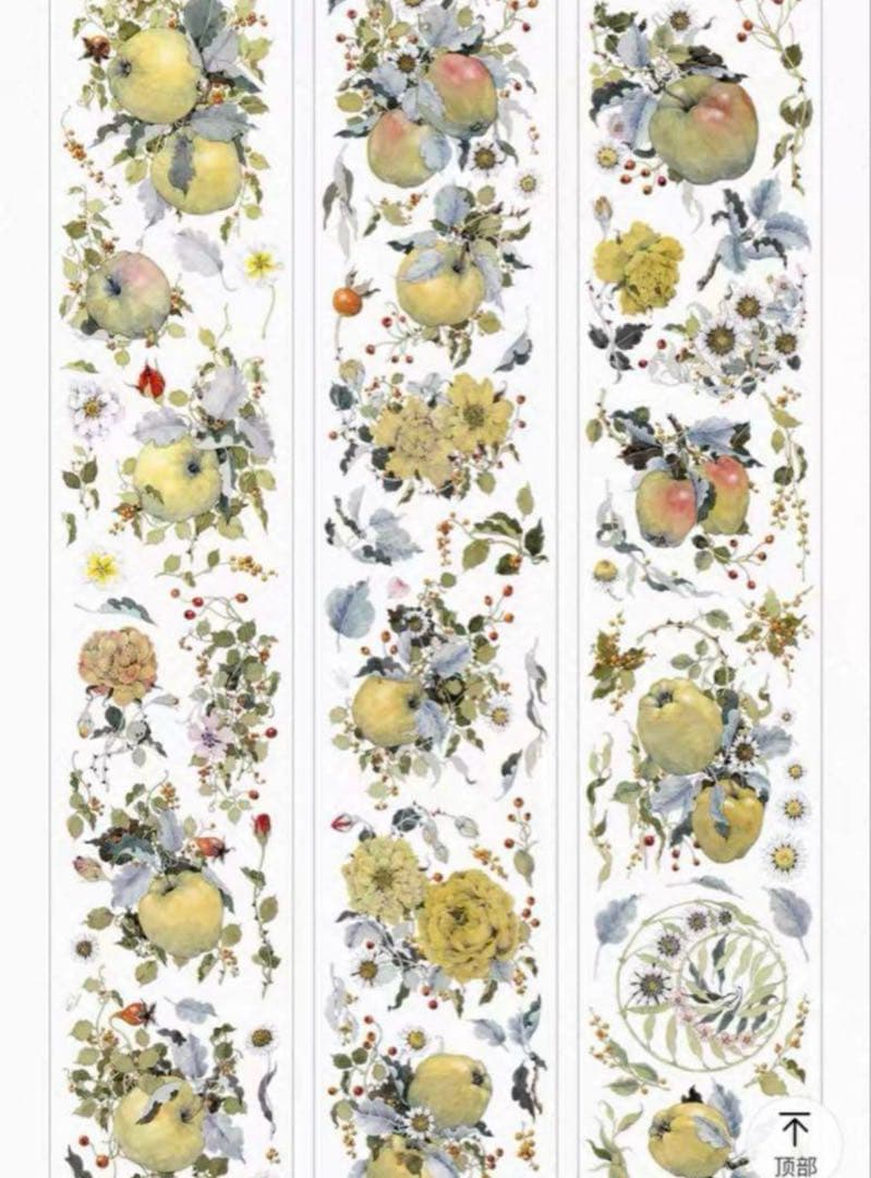 セール145 海外 PETテープ マスキングテープ