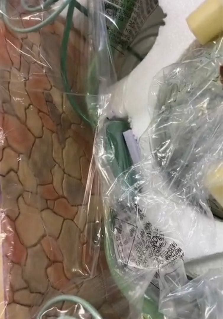 新品 未使用 シンデレラ かぼちゃの馬車 ライトアップ エネスコ トラディション