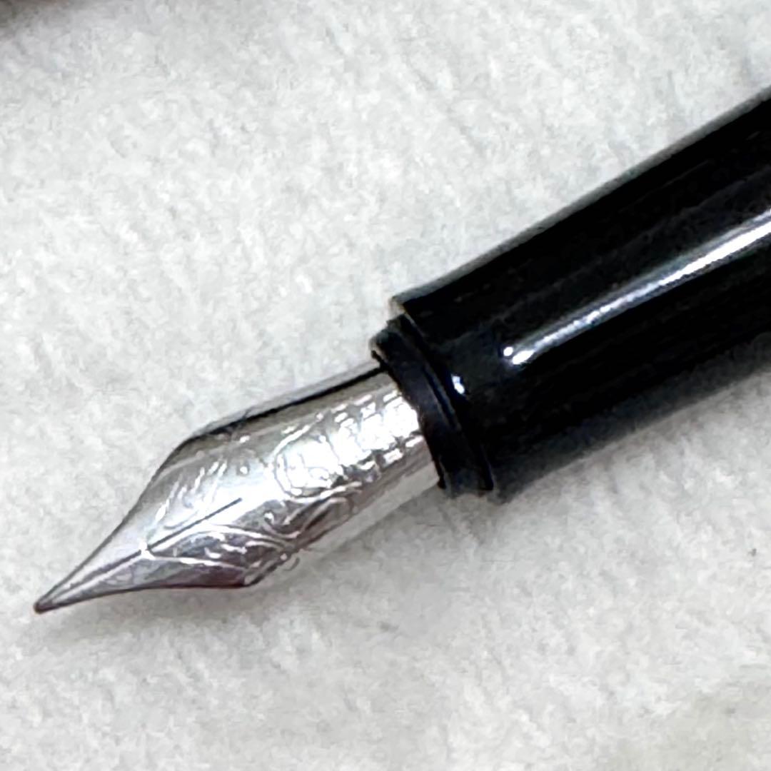 ＊未使用品＊ BENU 万年筆 グレイスフルカメレオン F