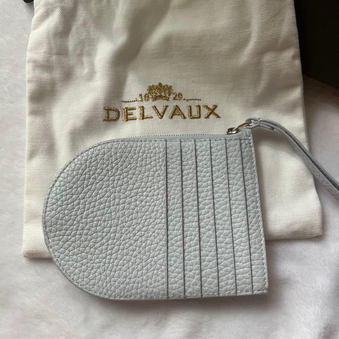 DELVAUX ライトブルー フラグメントケース