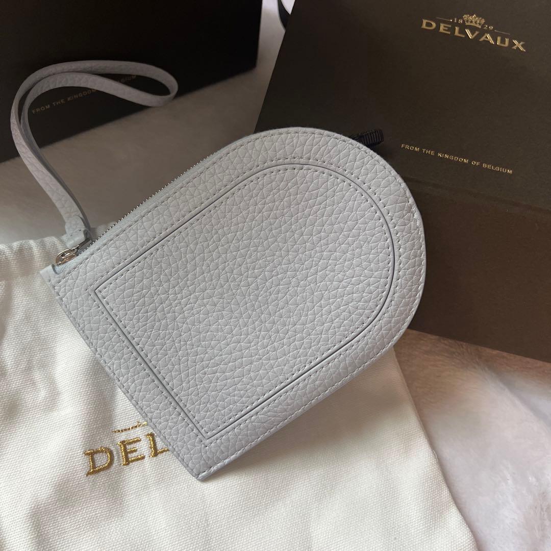 DELVAUX ライトブルー フラグメントケース