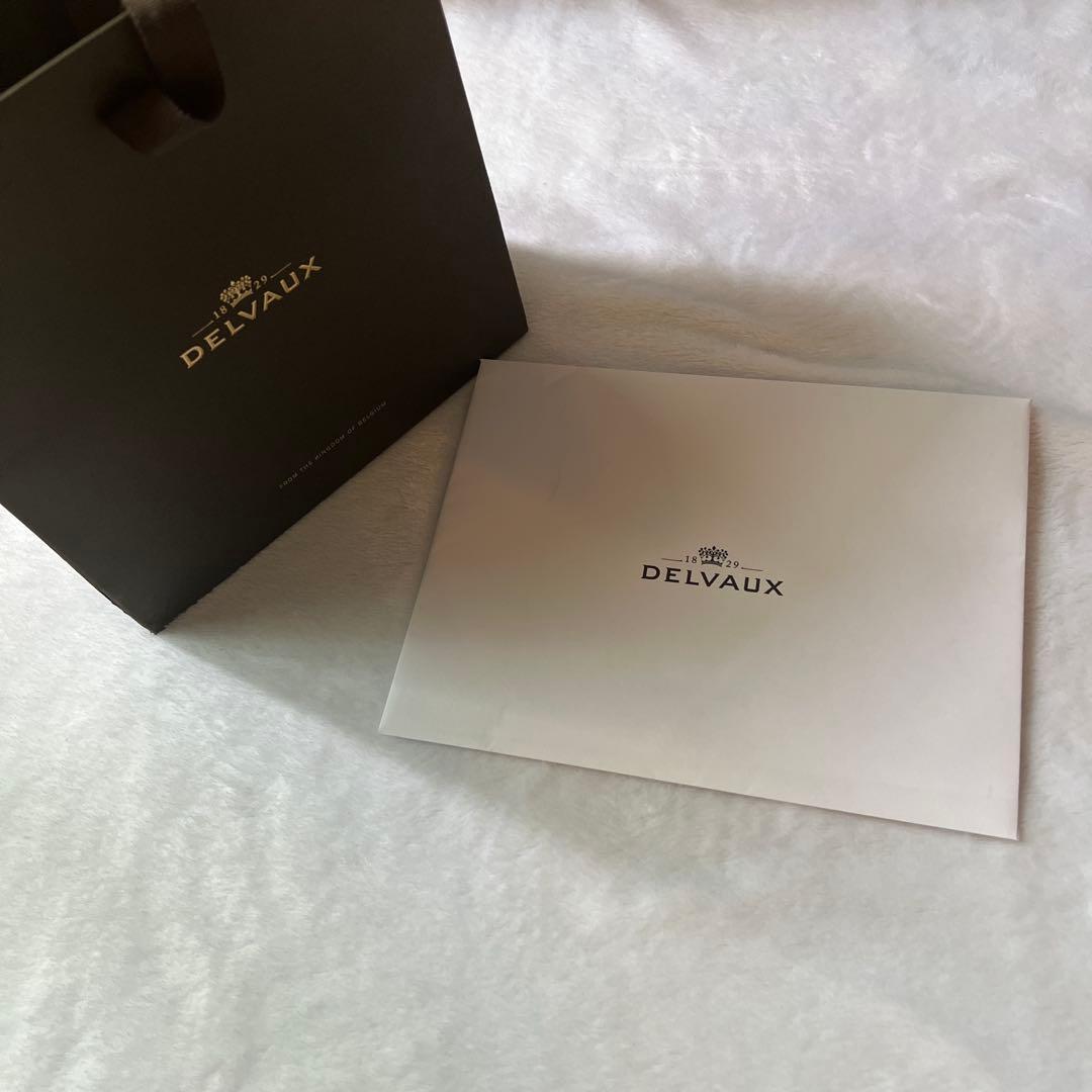 DELVAUX ライトブルー フラグメントケース