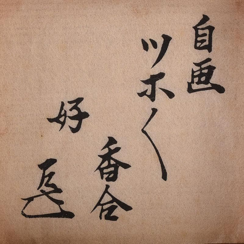 茶道具　而妙斎(宗左) 好　不審庵　自画　ツボツボ香合　共箱　M　R8313