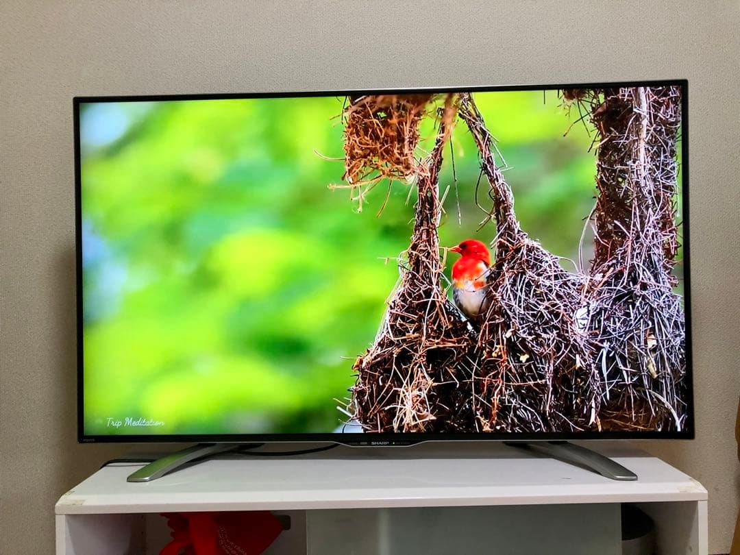 美品 SHARP 50インチ 4K 液晶テレビ LC-50U30 50型