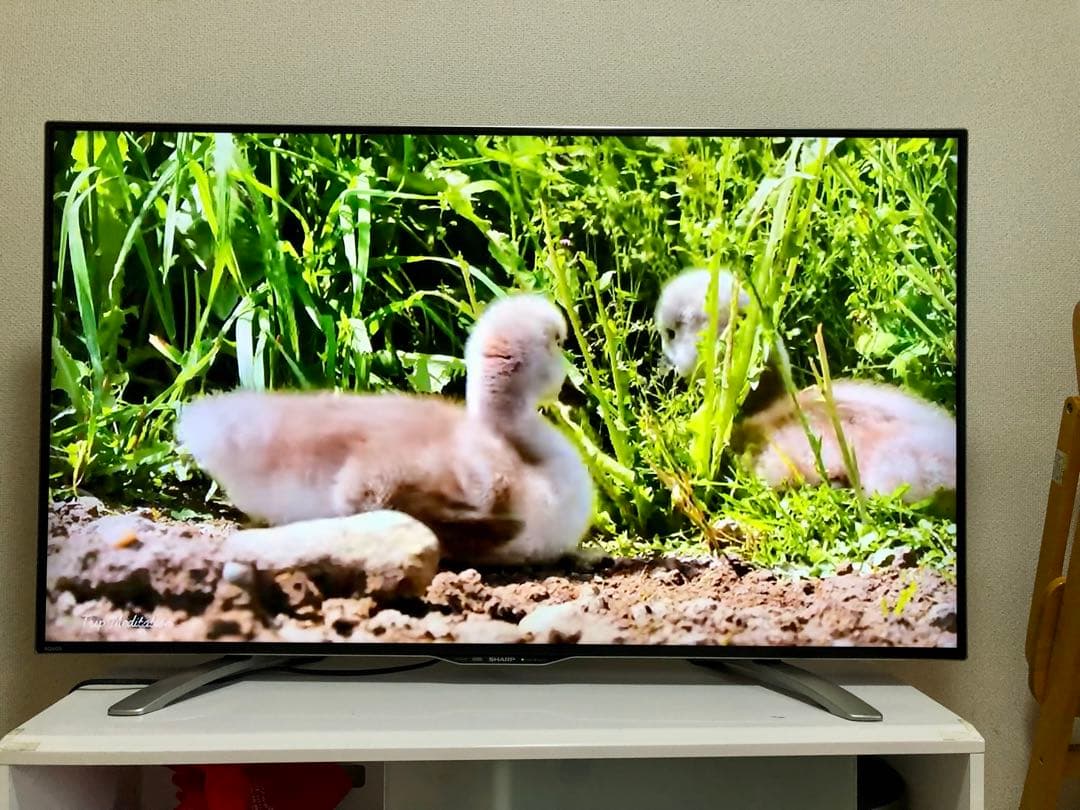 美品 SHARP 50インチ 4K 液晶テレビ LC-50U30 50型